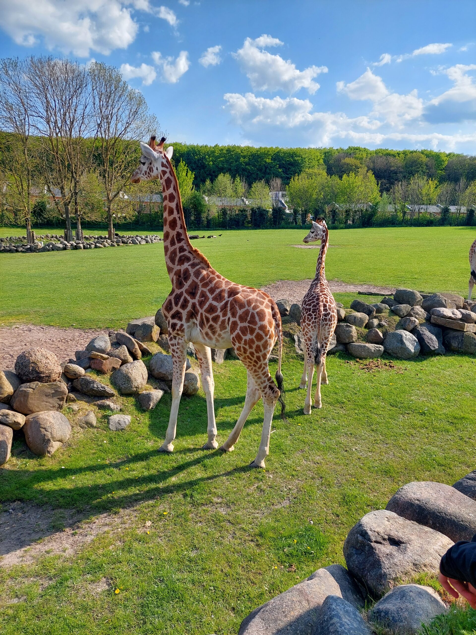 Overnatning i Aalborg Zoo