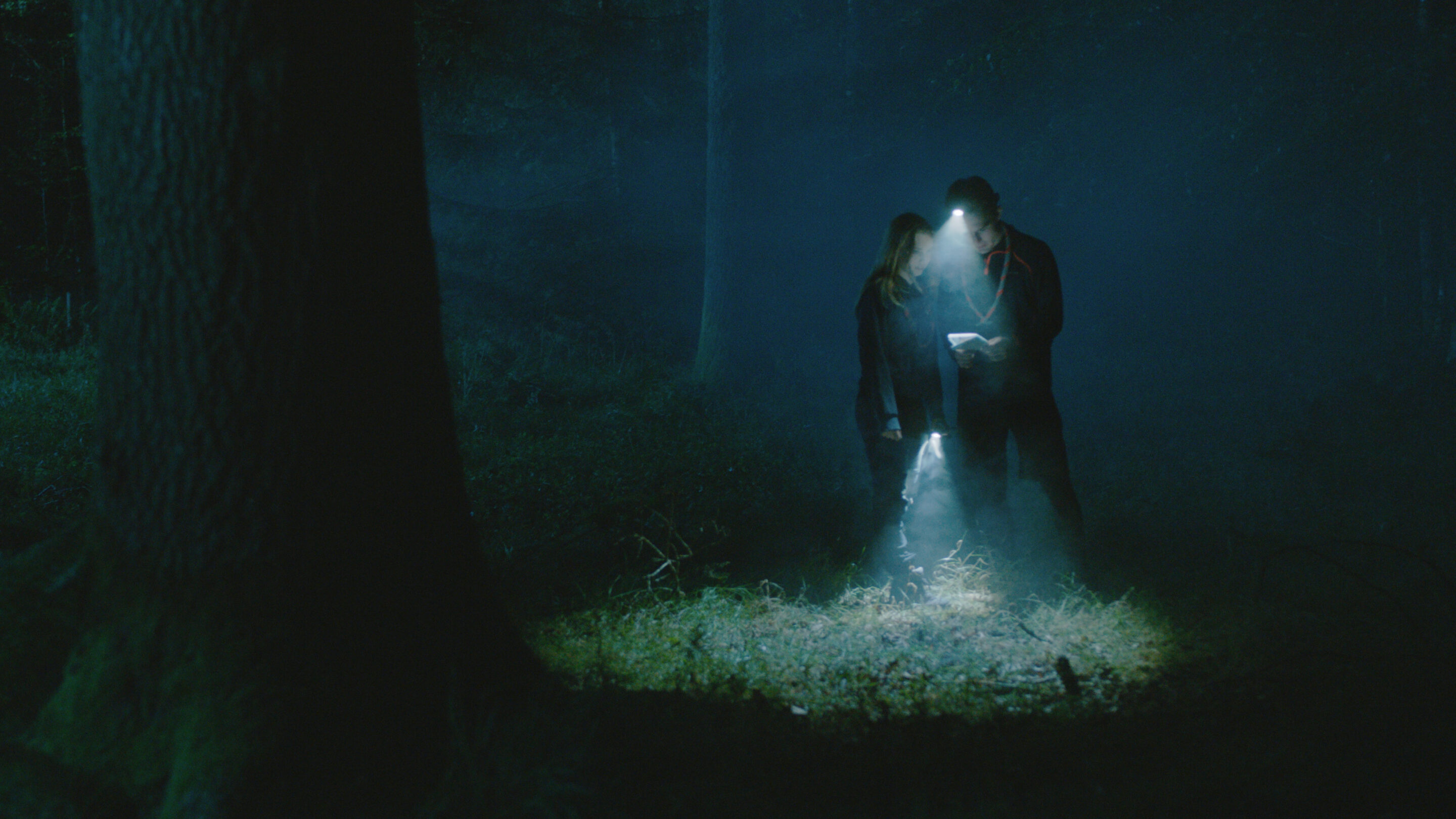 Spejdere natloeb 2 scaled